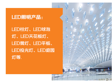 	LED照(zhào)明(míng)産品：LED柱燈、LED球泡燈、LED天花(huā)闆燈、LED筒燈、LED平闆、LED投光(guāng)燈、LED庭園燈等。